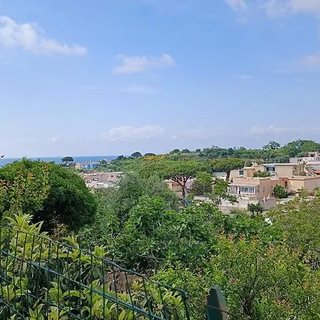 Passariello 3* Forio di Ischia