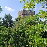 B&B Passariello