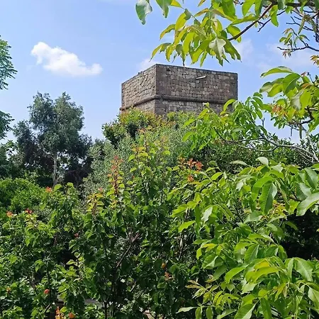 Bed & Breakfast Passariello