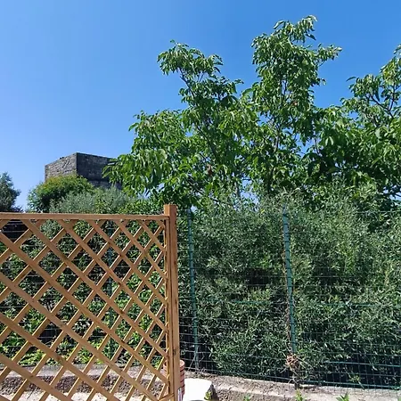 Passariello